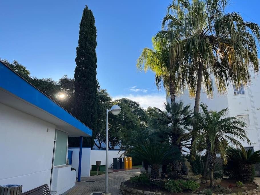 Apartamento En Costa Ballena, Urb. Playa Ballena Καντίζ Εξωτερικό φωτογραφία