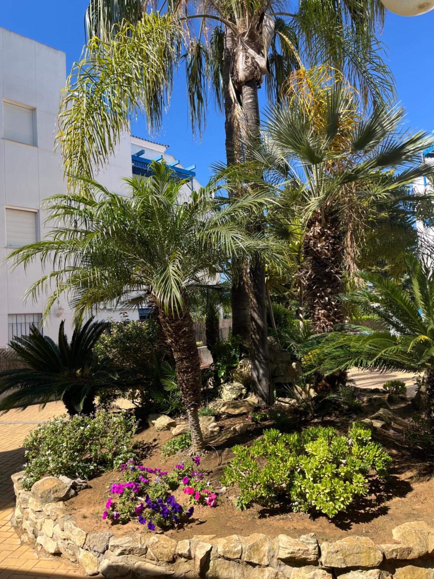 Apartamento En Costa Ballena, Urb. Playa Ballena Καντίζ Εξωτερικό φωτογραφία